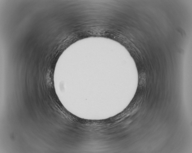 X0000110921202200907301555