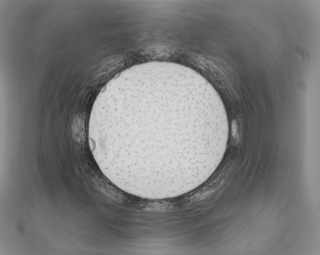 X0000110921203200907301555