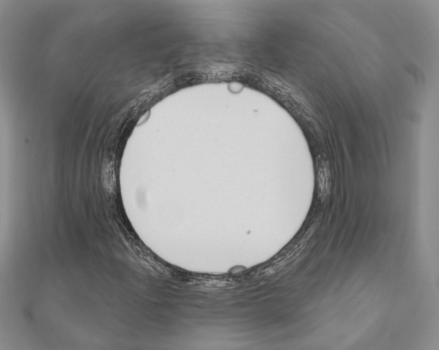 X0000110921204200907301555