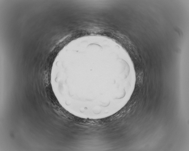 X0000110921205200907301555