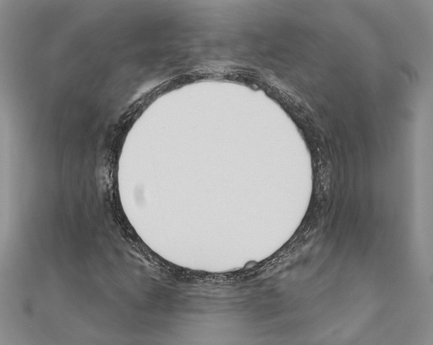 X0000110921206200907301555