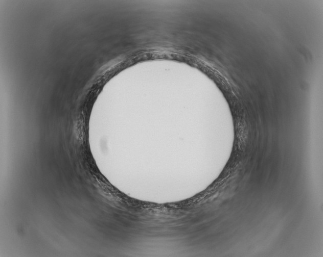 X0000110921207200907301555