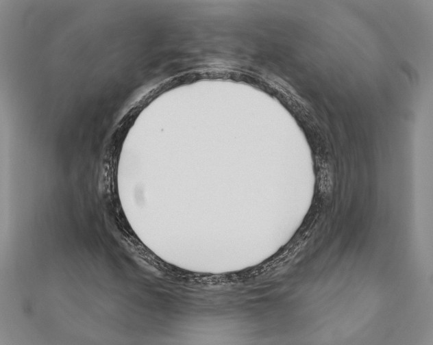 X0000110921208200907301555