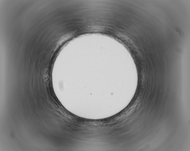 X0000110921210200907301555