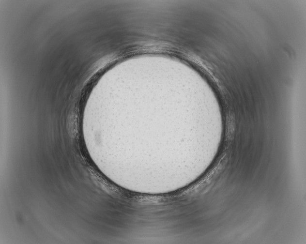 X0000110921211200907301555