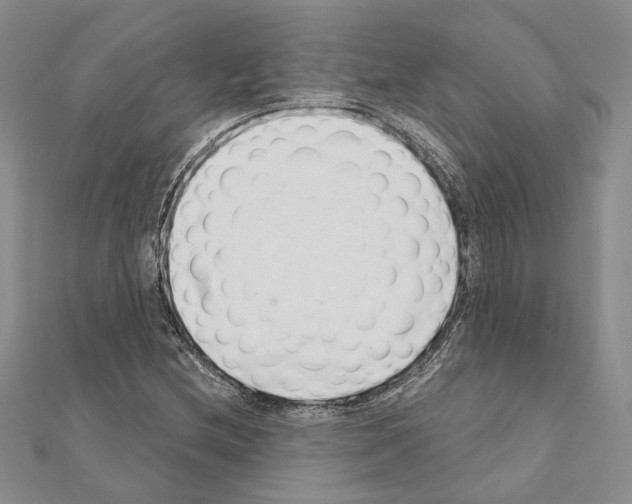 X0000110921212200907301555