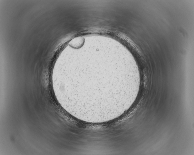 X0000110921213200907301555