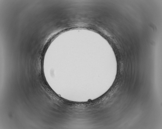 X0000110921214200907301555
