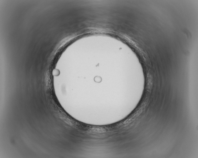 X0000110921215200907301555