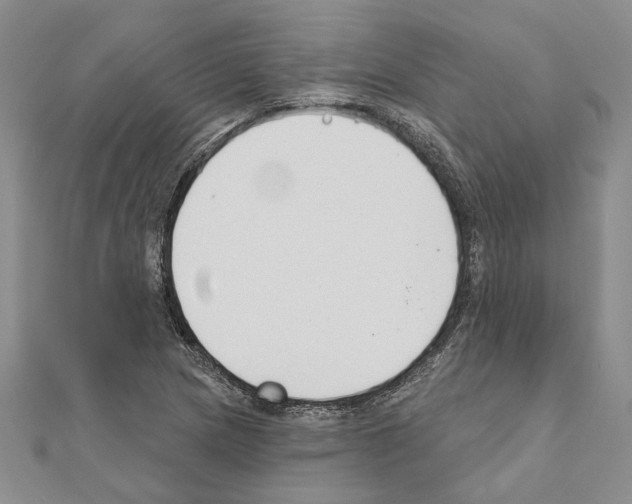 X0000110921217200907301555