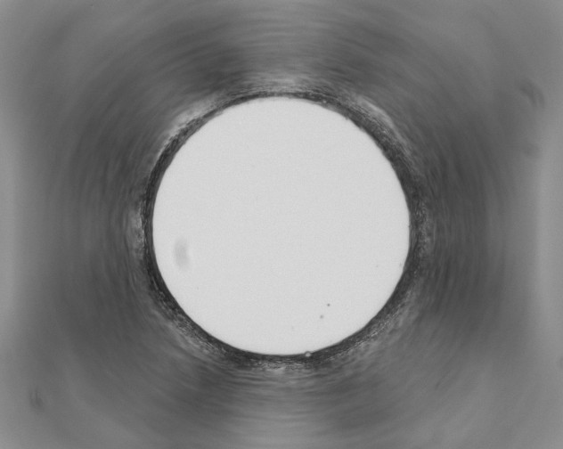 X0000110921218200907301555