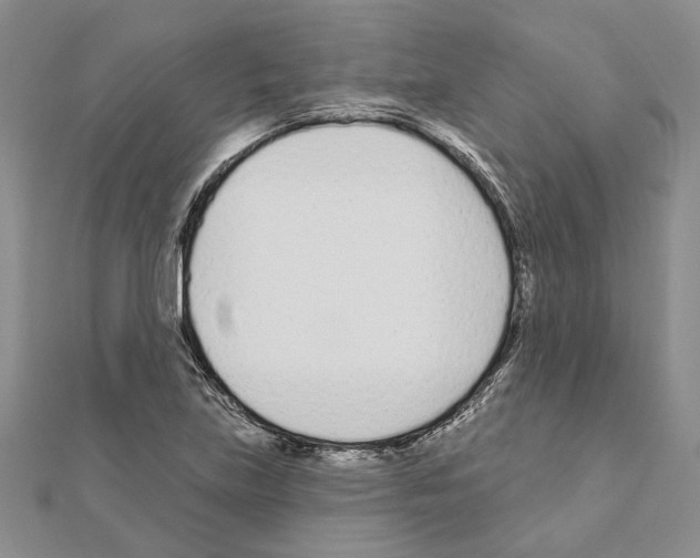 X0000110921219200907301555