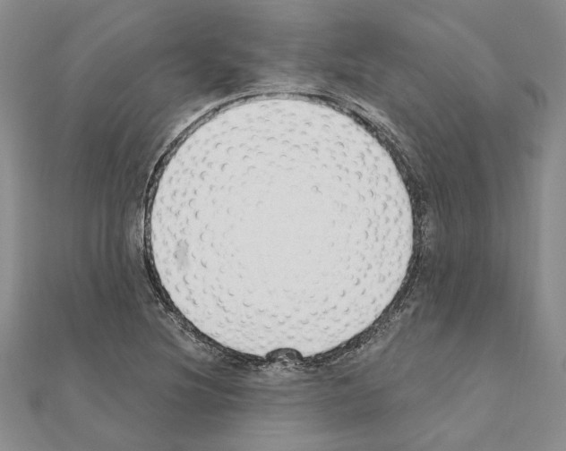 X0000110921220200907301555