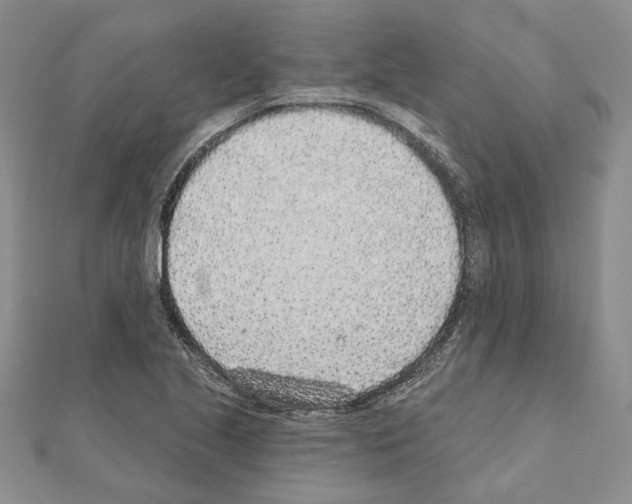 X0000110921221200907301555