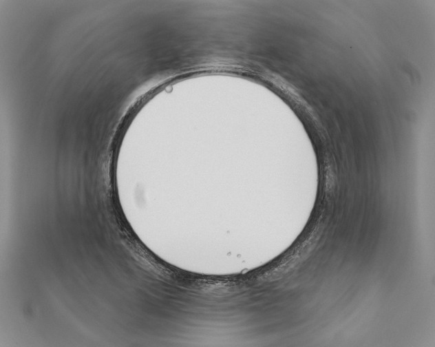 X0000110921222200907301555