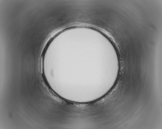 X0000110921223200907301555