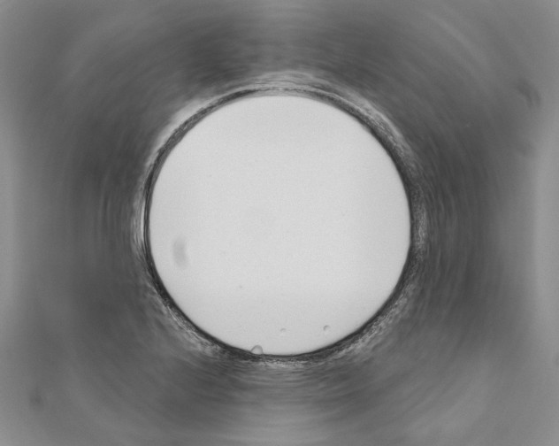 X0000110921224200907301555