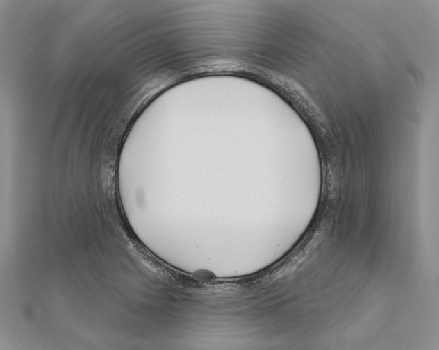 X0000110921225200907301555