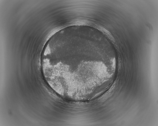 X0000110921226200907301555