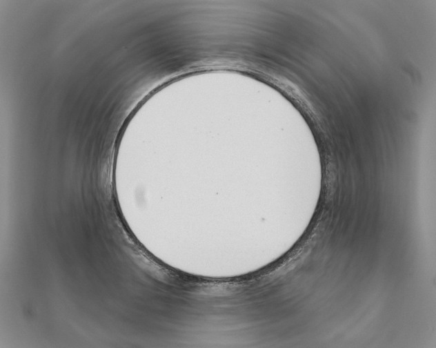 X0000110921228200907301555