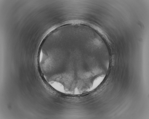 X0000110921229200907301555