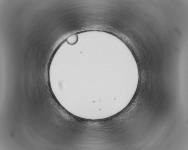 X0000110921230200907301555