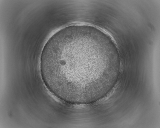 X0000110921231200907301555