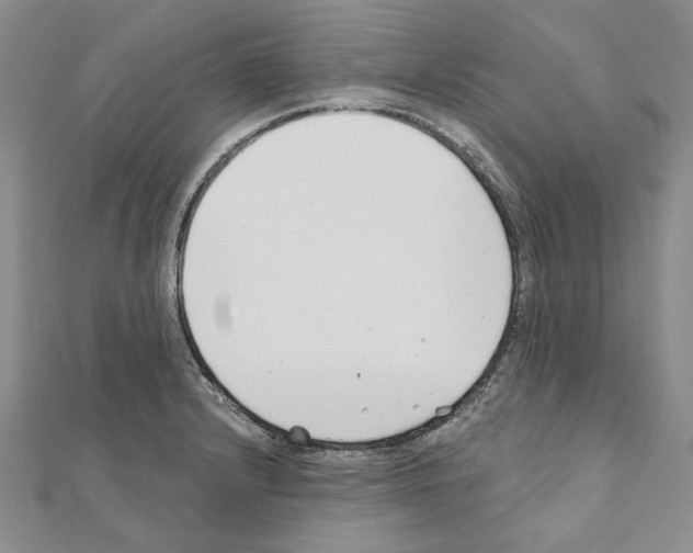 X0000110921232200907301555