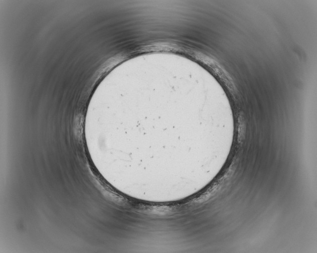 X0000110921233200907301555