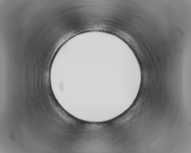 X0000110921234200907301555