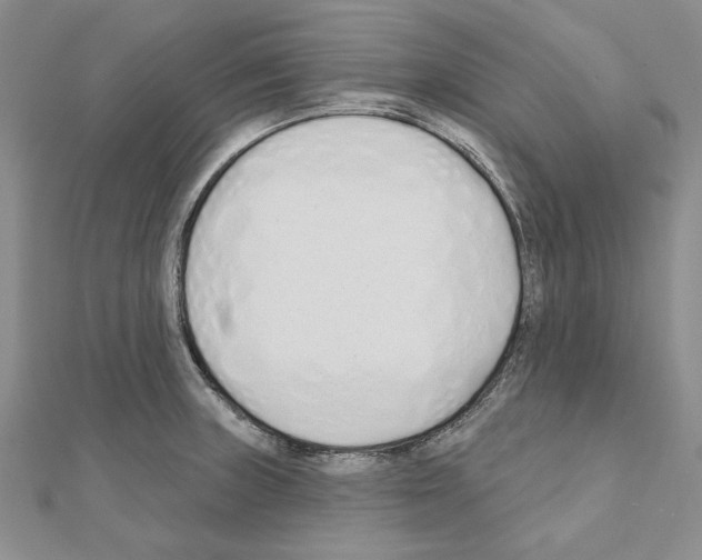 X0000110921235200907301555
