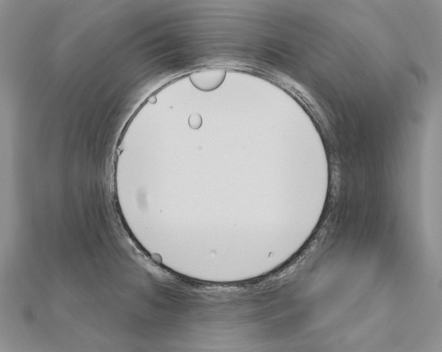 X0000110921236200907301555