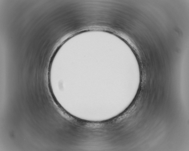 X0000110921237200907301555