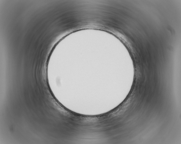 X0000110921238200907301555