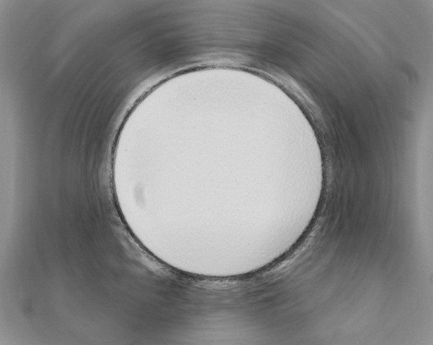 X0000110921240200907301556