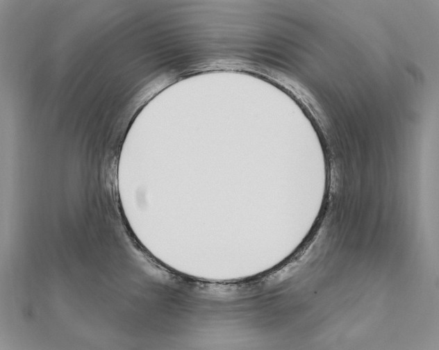 X0000110921241200907301556