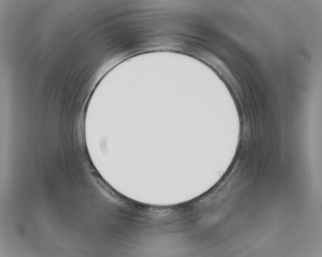 X0000110921242200907301556