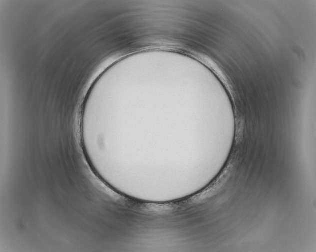 X0000110921243200907301556