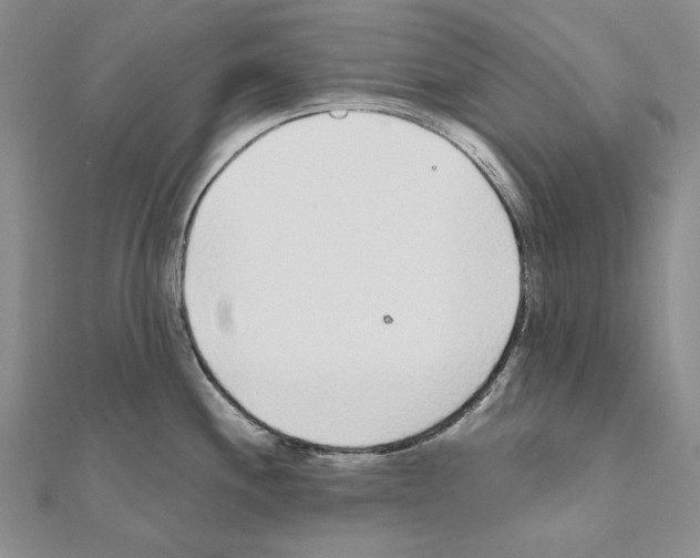 X0000110921244200907301556