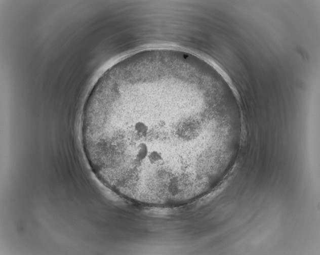 X0000110921245200907301556