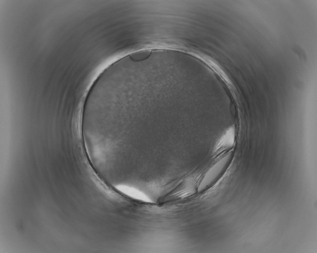 X0000110921246200907301556