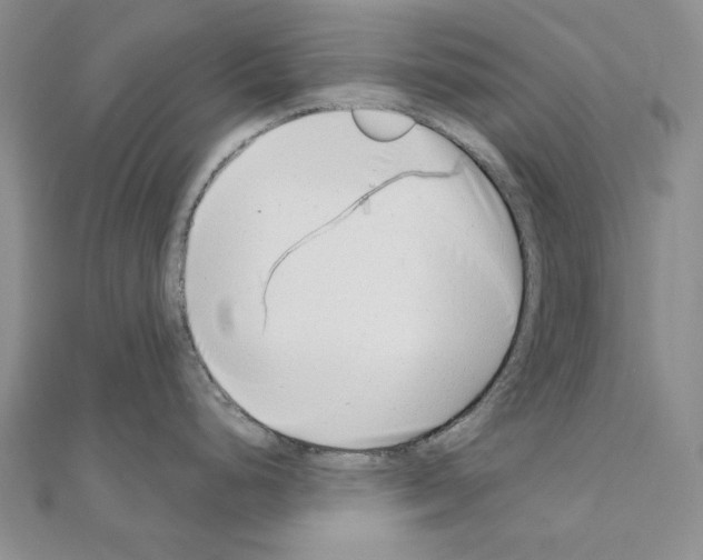 X0000110921248200907301556