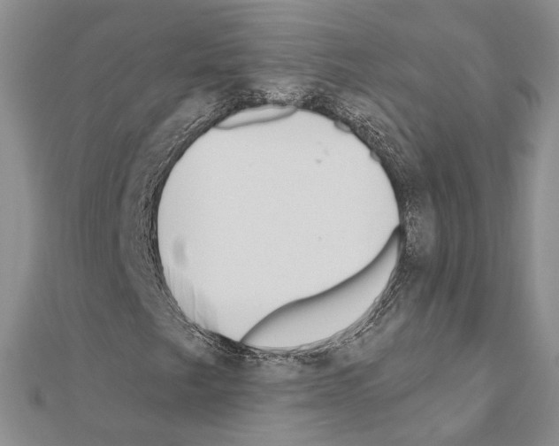 X0000110921249200907301555