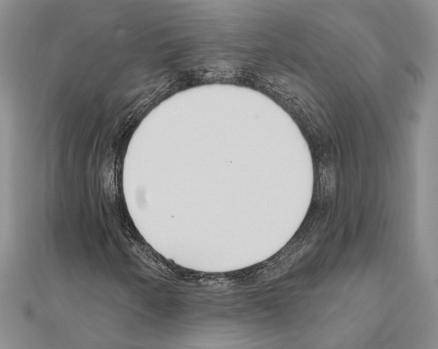 X0000110921250200907301555