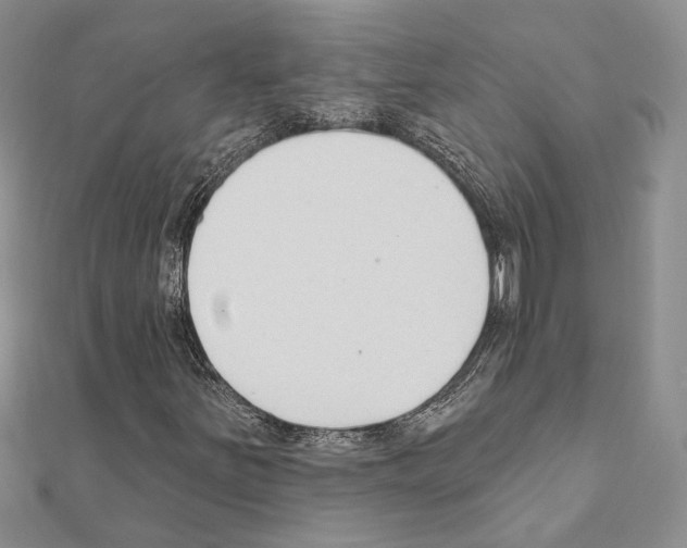 X0000110921251200907301555