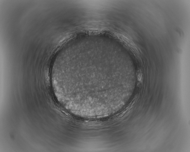 X0000110921252200907301555