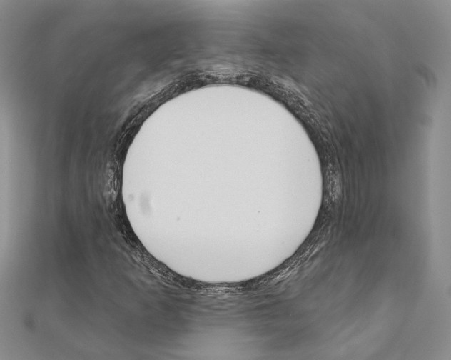 X0000110921253200907301555