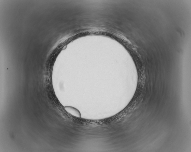 X0000110921255200907301555