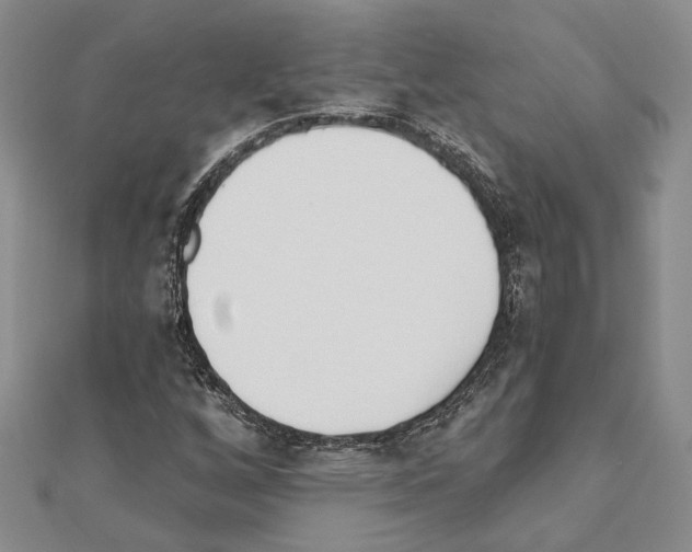 X0000110921256200907301555