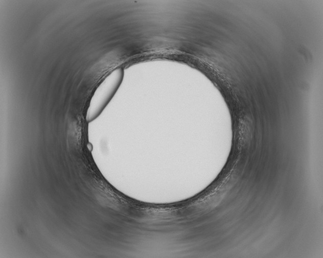X0000110921257200907301555